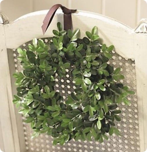 ballard-designs-boxwood-mini-wreaths-set-of-4~1057198