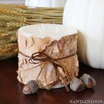Birch Bark Candle  (800x533)[4]