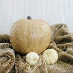 paper pumpkin 2[3]