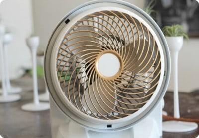 Spray Painted White and Gold Fan