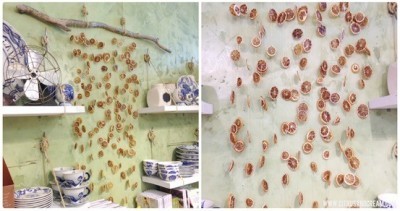 Dried Citrus Round Décor