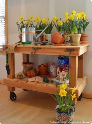 Build a Potting Table for Spring