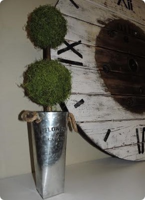 DIY Moss Ball Topiary
