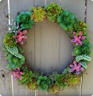 Dollar Store Succulent Wreath
