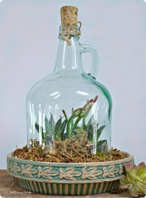 Repurposed Glass Jug Cloche