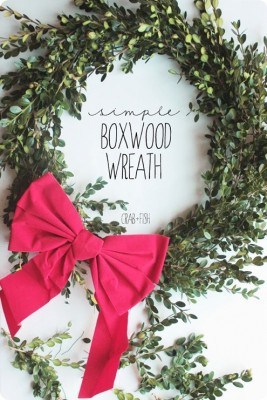 Fresh-from-the-Front-Yard Boxwood Wreath