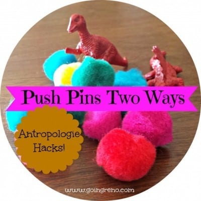 Pom Pom and Dinosaur Push Pins