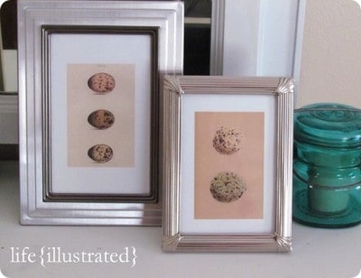 Vintage Easter Egg Prints