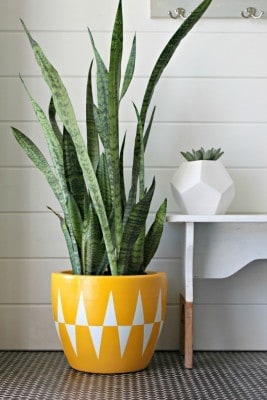 Bright and Cheery Geometric Planter
