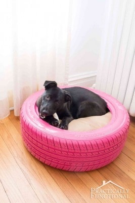 Cozy DIY Furniture for Your Pets