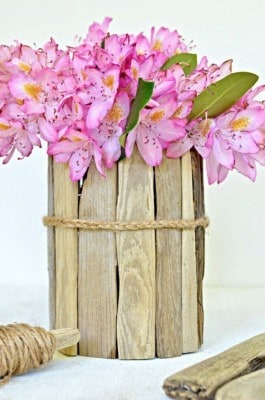 Create An Almost Free Driftwood Vase