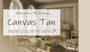 sw canvas tan color review