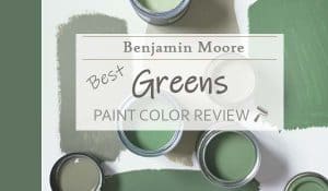 best bm green colors featured image
