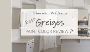 best sw greige reviews