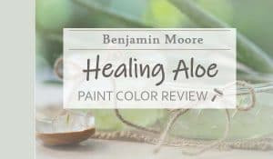 bm healing aloe featured image