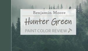 bm hunter green featured image