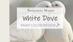 bm white dove featured image