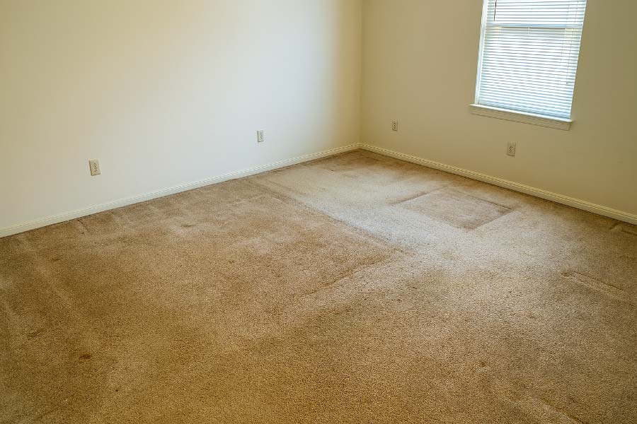 old beige carpeting ex
