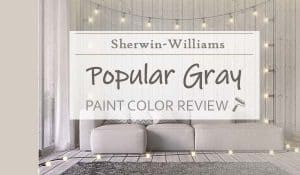 sw popular gray paint color review