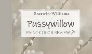 sw pussywillow review