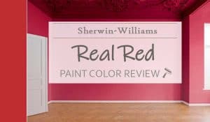 sw real red featured image