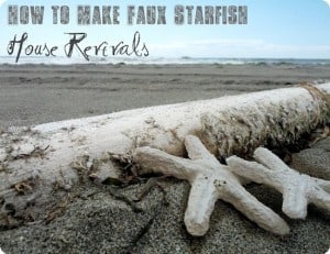 Paper Mache Starfish