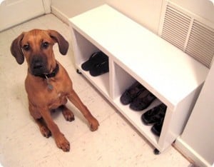 Rolling Storage Bench