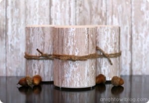 Birch Bark Candles