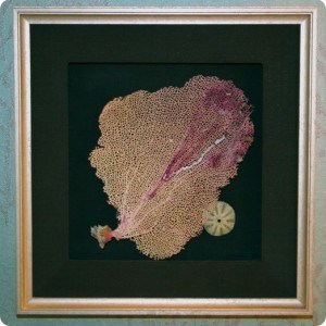 Sophisticated Sea Fan Art for the Beach Lover