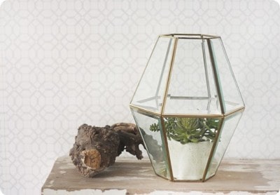 Old Light Fixture to Faceted Terrarium