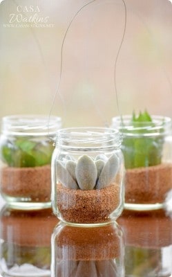 Mini Succulent Hanging Planters