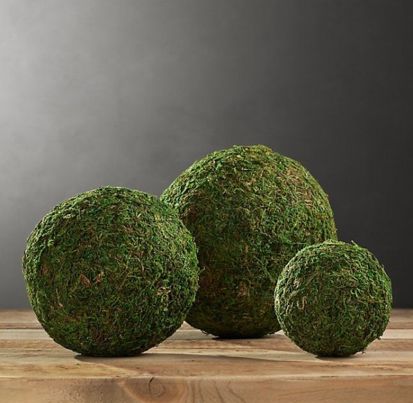 Easy Moss Spheres