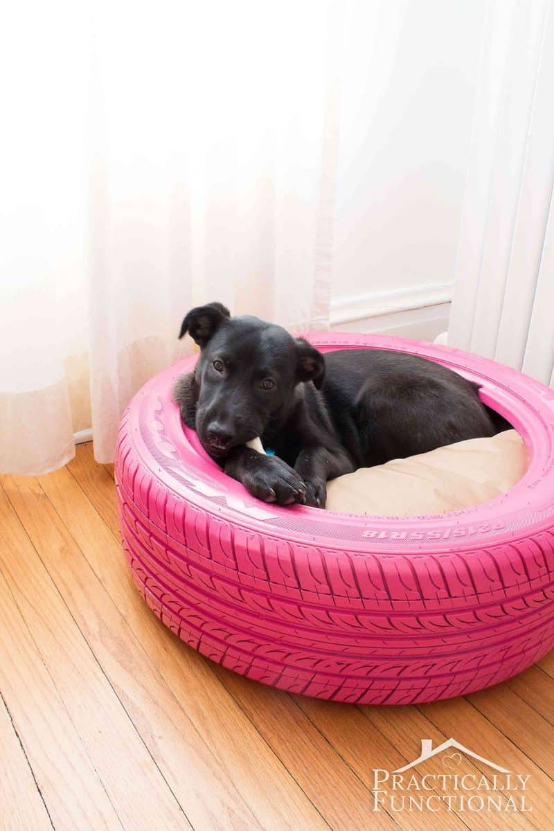 dog bed made from old tire