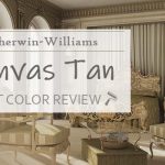 sw canvas tan color review