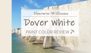 sw dover white color review
