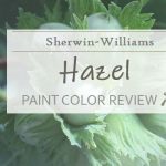 sw hazel paint color review