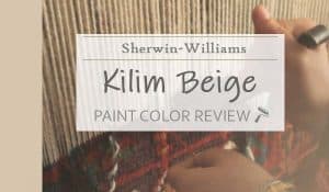 sw kilim beige paint color review