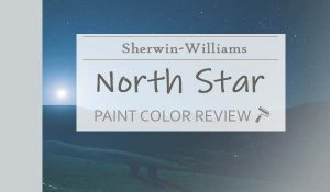 sw north star color review