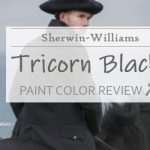 sw tricorn black color review