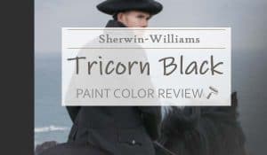 sw tricorn black color review