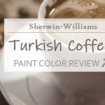 sw turkish coffee paint color review