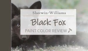 sw black fox paint color review