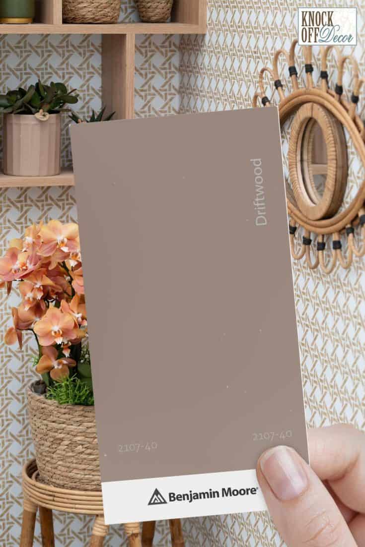 Benjamin Moore Taupe Paint Colors A Full Review