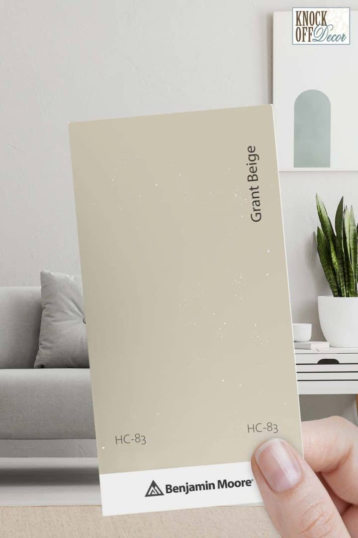 Benjamin Moore Greige Colors Most Popular + My Best Picks for Your