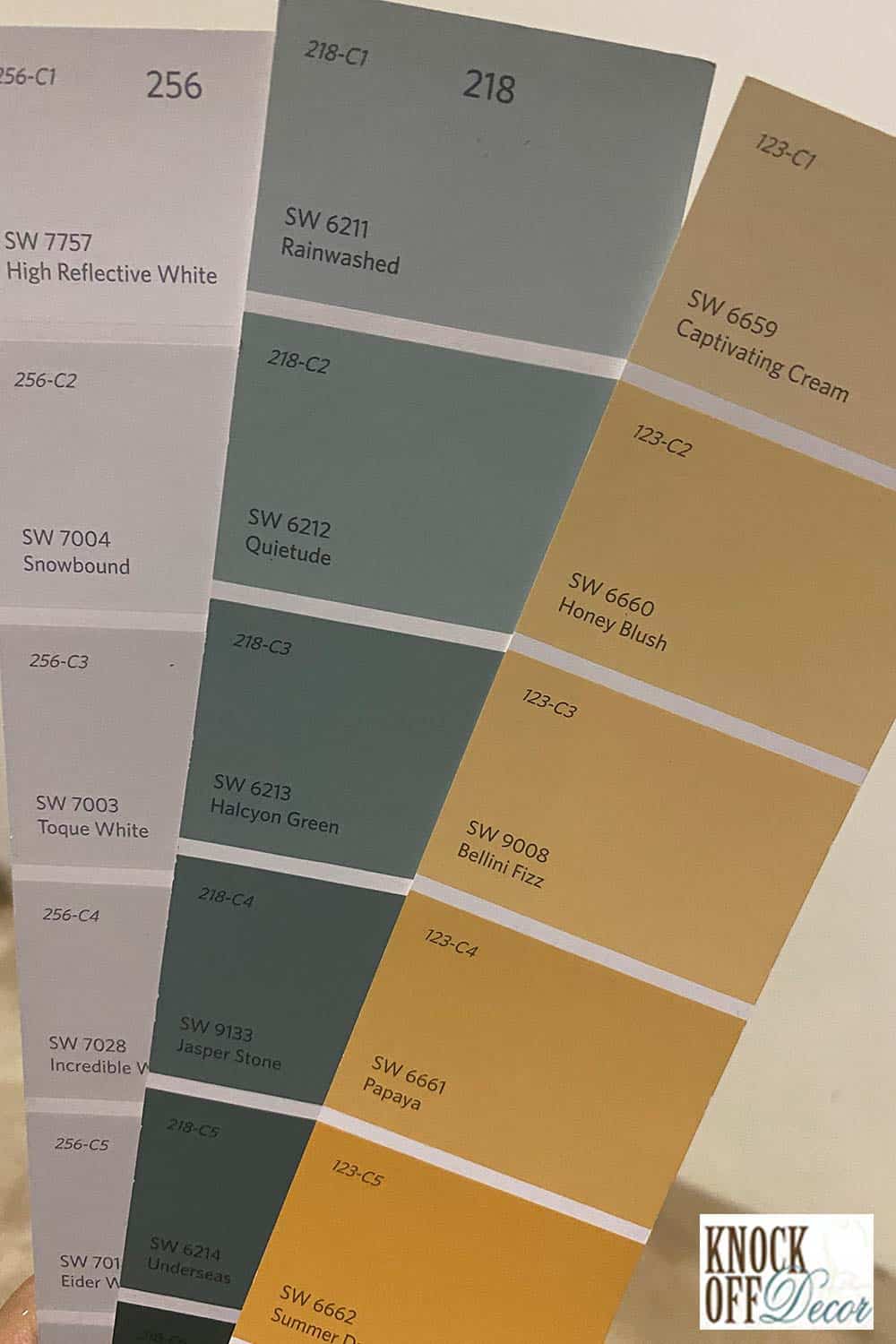 Sherwin Williams Rainwashed Color Review It's Nature’s Bliss