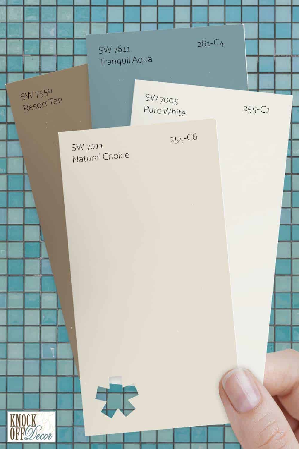 Sherwin Williams Natural Choice Review Is it the Coziest Neutral