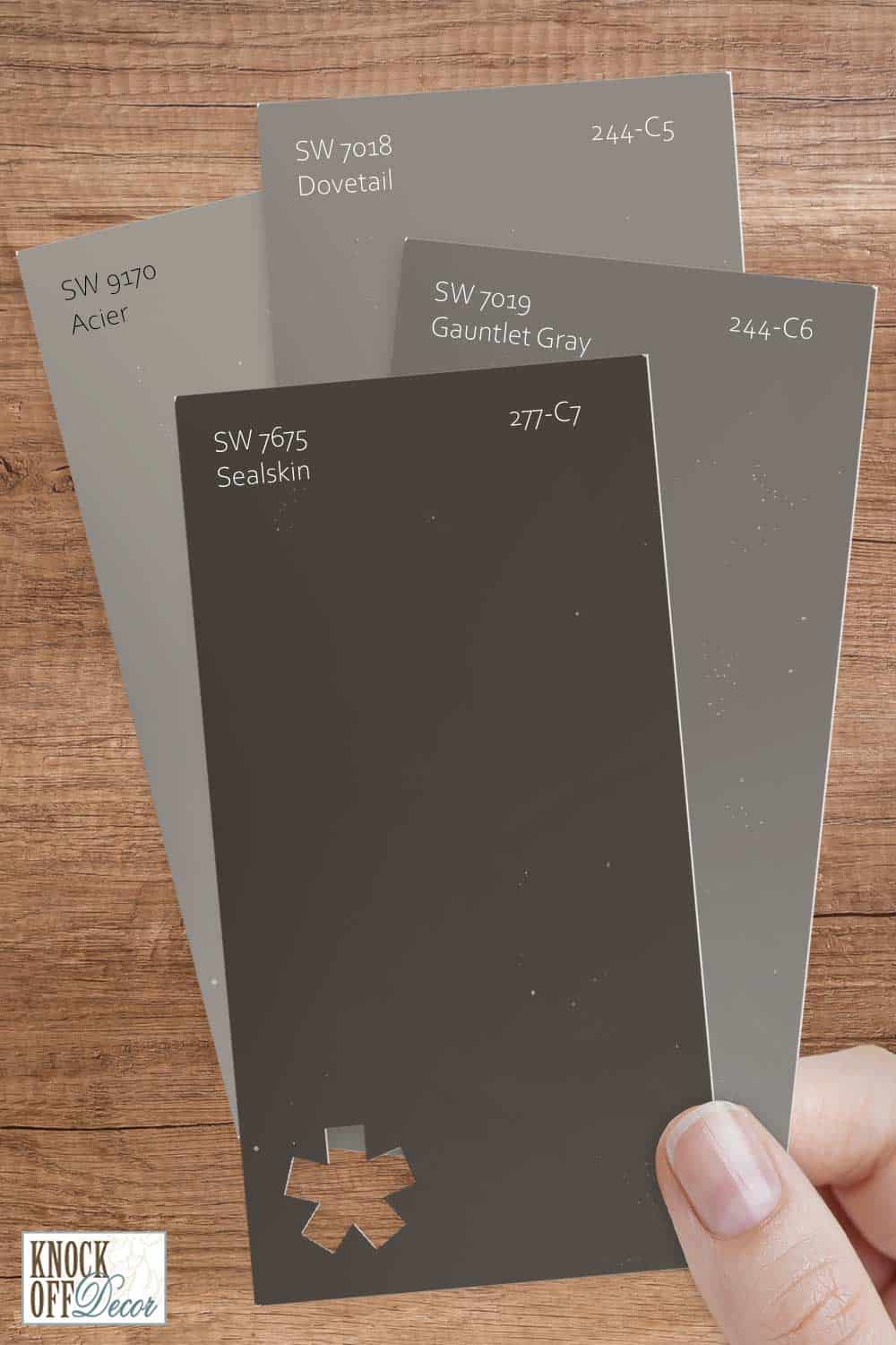 Sherwin Williams Sealskin Review A Sleek and Natural Vibe Awaits