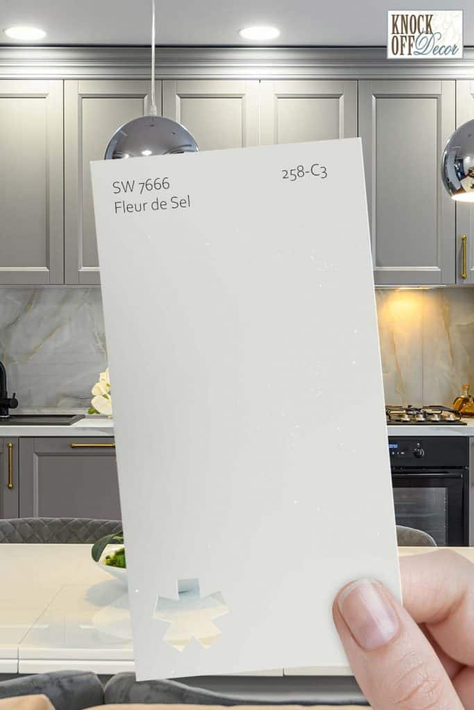 Sherwin Williams Fleur de Sel Review A Unique and Distinctive Gray