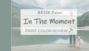 behr in the moment featured image