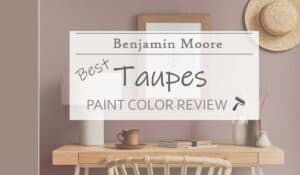 best bm taupe colors